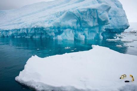 Antartica: The White Continent
