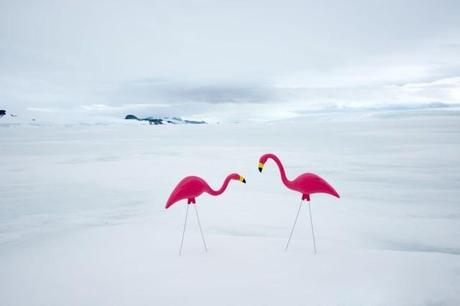 Unexpected-Antartica-Photography-by-Gray-Malin-ilovegreen-3