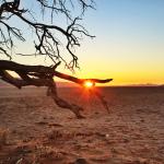 Fotografie di Viaggio dalla Namibia – Top 10