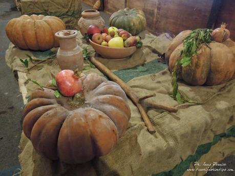 Divin Castagne a Sant'Antonio Abate