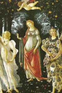 La Venere humanitas della Primavera di Botticelli
