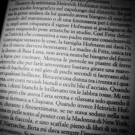 #inlettura #iltempodileggere #currentlyreading #pagina33 #page33