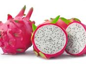 Pitaya Rossa proprietà