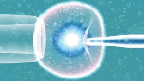 Sei una donna, hai trent'anni, tieni gli ovuli in frigorifero