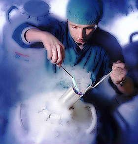 Sei una donna, hai trent'anni, tieni gli ovuli in frigorifero