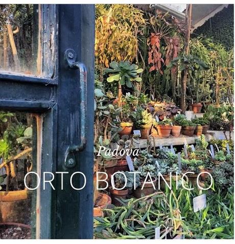 LIFESTYLE / L'ORTO BOTANICO DI PADOVA