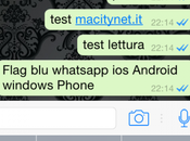 WhatsApp: oggi arriva doppia spunta blu. Ecco cosa serve