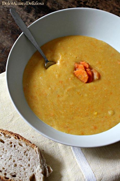 zuppa di carote speziata (2)