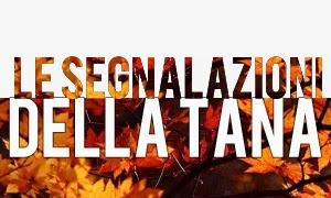 Le segnalazioni della Tana #11