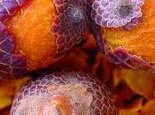 L'olio Buriti, complemento cosmetico eccellente