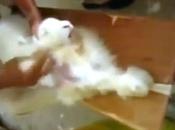 freddo scegliamo maglioni giusti!