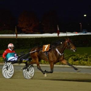 ippica - coppa di milano