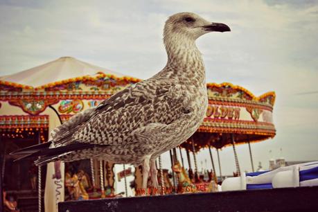 Brighton: gita al mare da Londra, cosa vedere e consigli lowcost