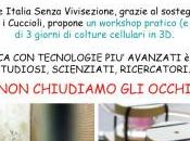 Care Italia workshop anti sperimentazione animale. Grazie Collezione Cuccioli