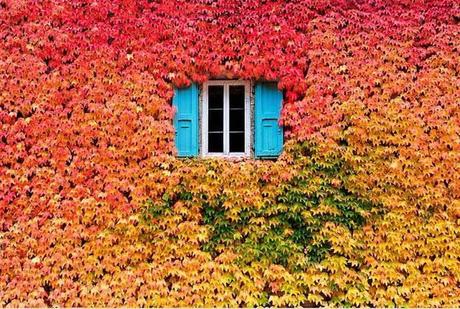 colori-d-autunno