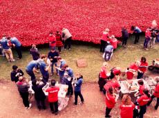 Tower of London remembers the First World War 1914-2014