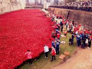 Tower of London remembers the First World War 1914-2014