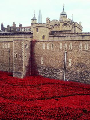 Tower of London remembers the First World War 1914-2014