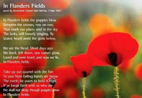 poppies