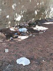 Segnalazione: “Il cortile della Scuola materna Boccaccio tra rifiuti e aghi di pino”