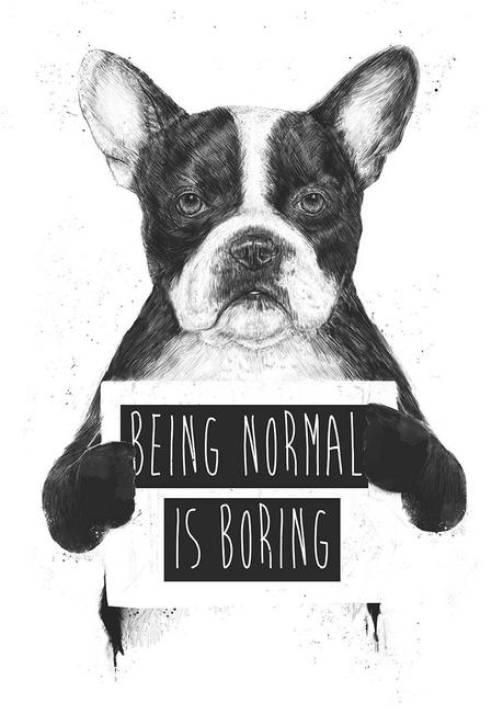 Balazs Solti - being normal is boring