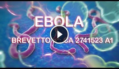 VIRUS EBOLA, MADE IN USA? VIRUS EBOLA, MADE IN USA?