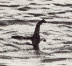 12 Novembre: Nessie