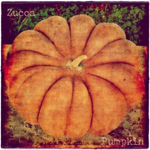 Zucca