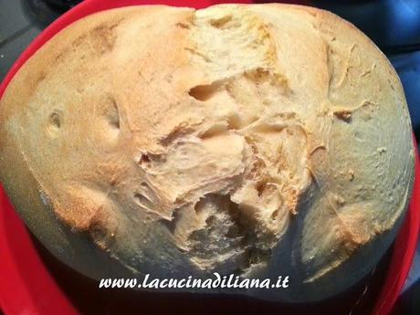 Pane bianco con Farro a Lievitazione Naturale