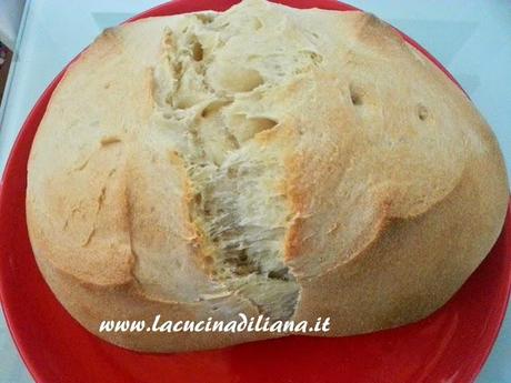 Pane bianco con Farro a Lievitazione Naturale