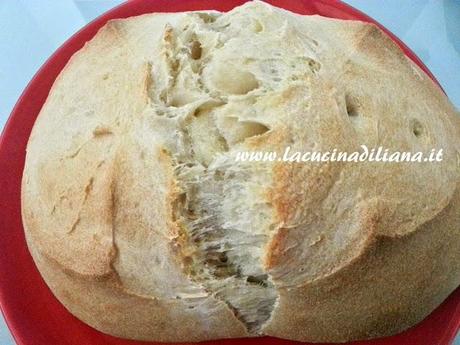 Pane bianco con Farro a Lievitazione Naturale