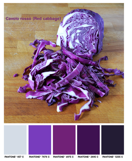 lacaccavella, cavolo rosso, cavolo viola, red cabbage, purple cabbage, cabbage, cavolo, verza, colors, colori, foodcolors, pantone, palette, viola, purple,