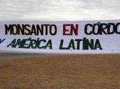 Argentina: protesta anno contro Monsanto