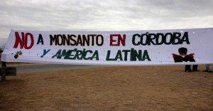 monsanto