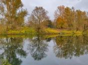 Adda Sud, questo parco…. Albano Rocco, Azione civile Crema)