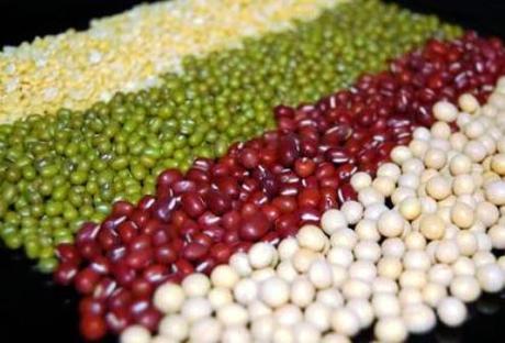 Parliamo della soia: introduzione, prima parte