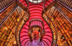 beautiful-bookstore-world-porto-lello-irmao-1