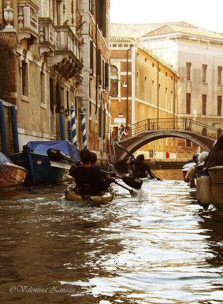 Venezia vista dal pelo dell'acqua