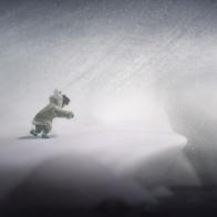 Never Alone, trailer di lancio ed immagini; debutto per la settimana prossima