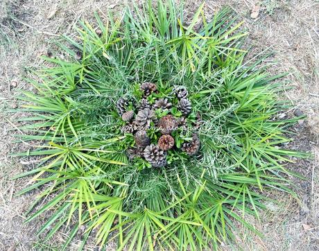 Mandala con elementi naturali