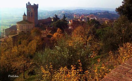 san miniato funghi