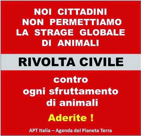 PERCHE' E' GIUSTO E DOVEROSO COMBATTERE LA SPERIMENTAZIONE ANIMALE