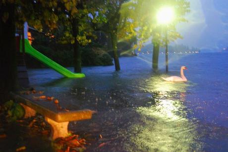 Alluvione novembre 2014