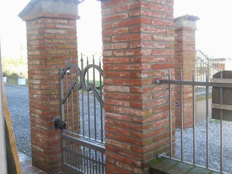 IL GIRASOLE STA' VEDENDO LA LUCE .....