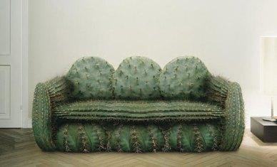 creative-sofa-cactus