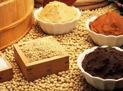 soia vera trasformista, parte terza