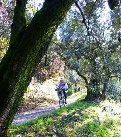 #mtb #16112014 #castello #colline #fuorisella #cacciatori #cinghiale #sole #cieloblu