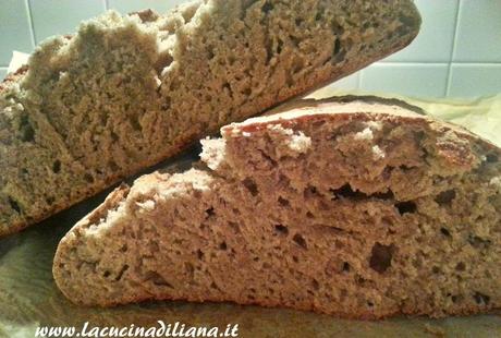 Pane semintegrale con grano saraceno