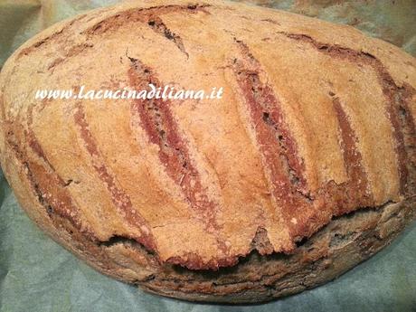 Pane semintegrale con grano saraceno