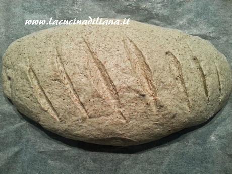 Pane semintegrale con grano saraceno